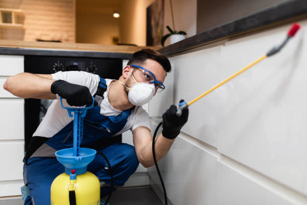 Reliable Glide, OR Pest Control Solutions