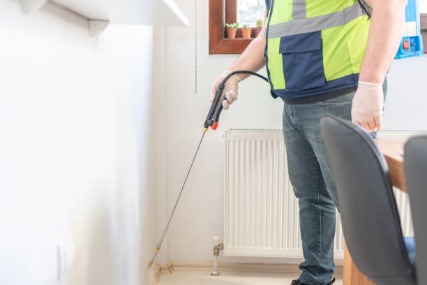 Best Wasp Removal Services  in Glide, OR