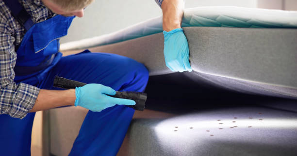 Best Pest Control Near Me  in Glide, OR